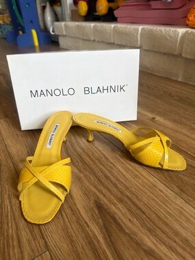 NEW IN BOX Manolo Blahnik Kitten Heel Mule Sandals